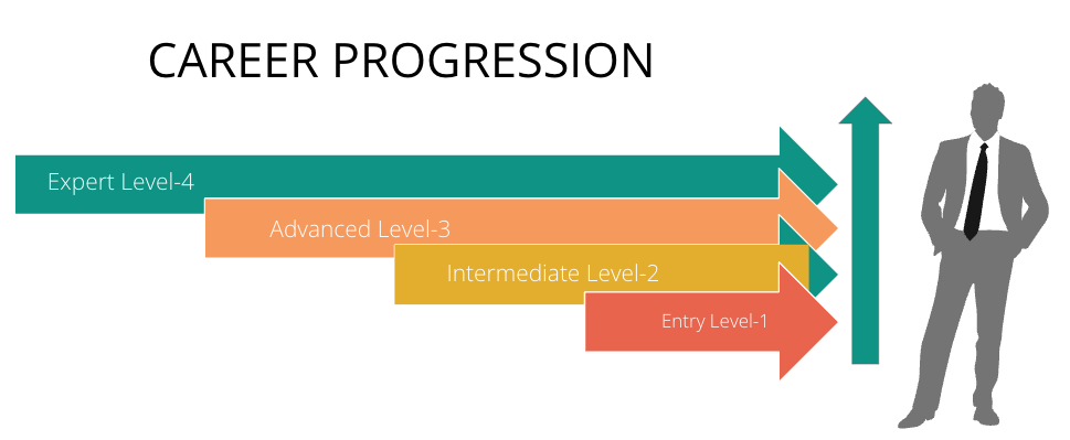 CAREER PROGRESSION