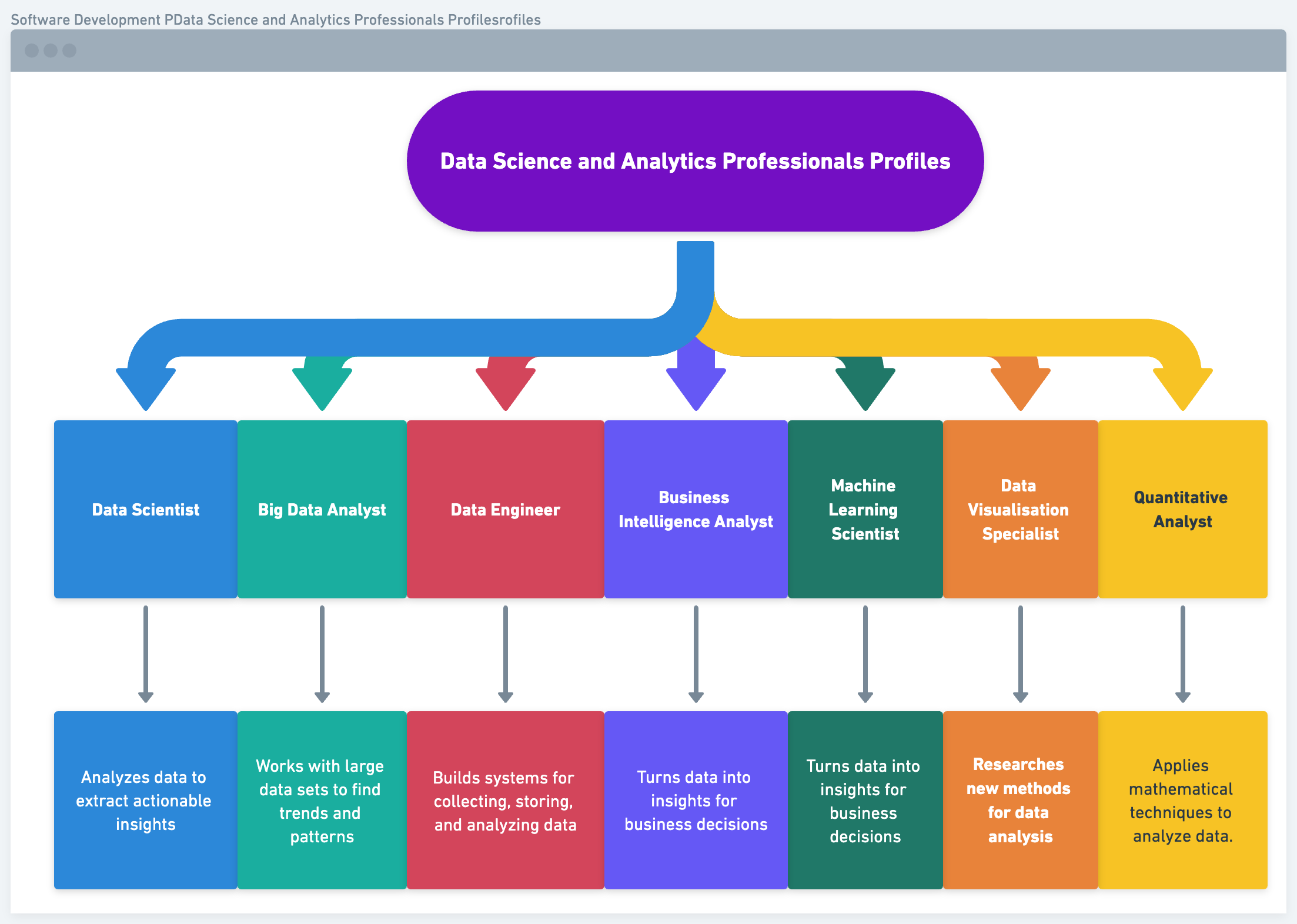Data Science and Analytics Professionals Profiles